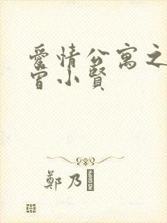 爱情公寓之极品曾小贤