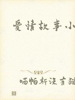 爱情故事小说
