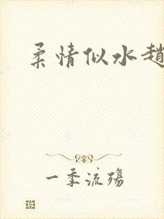 柔情似水赵雅儿