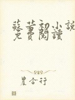 苏若初小说全文免费阅读