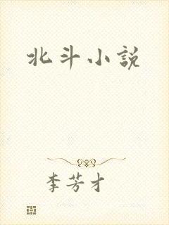北斗小说