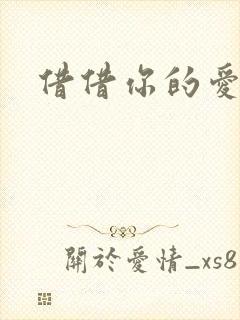 借借你的爱封面