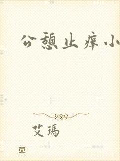 公憩止痒小说封面
