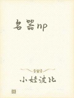 名器np