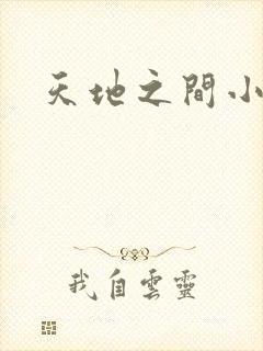 天地之间小说