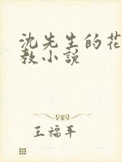 沈先生的花式管教小说