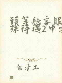 头等舱客服的特殊待遇2中字