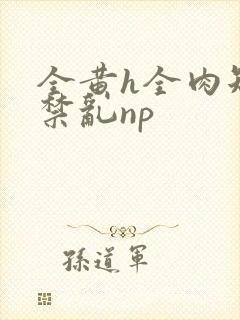 全黄h全肉短篇禁乱np封面