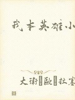 我本英雄小说
