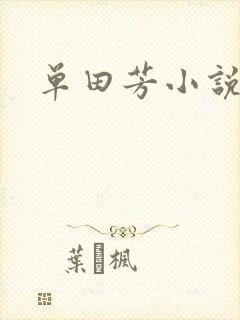 单田芳小说