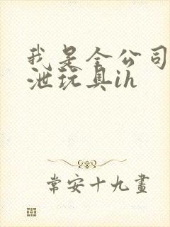 我是全公司的发泄玩具ih