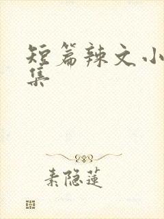 短篇辣文小说合集封面