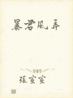 暴君风弄封面