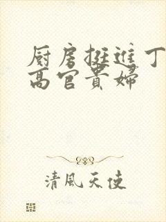 厨房挺进丁字裤高官贵妇