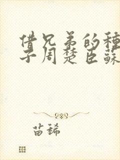 借兄弟的种生孩子周楚臣苏糖