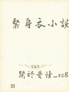 紧身衣小说封面