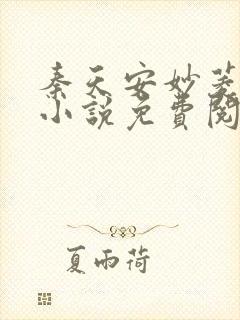 秦天安妙菱修仙小说免费阅读正版封面