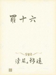罗十六