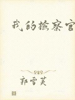 我的检察官先生封面