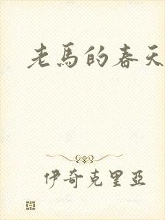 老马的春天敏静
