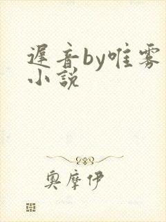 迟音by唯雾的小说封面