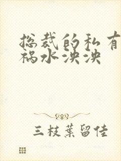 总裁的私有宝贝祸水泱泱