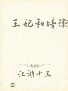 王妃和暗卫野H封面