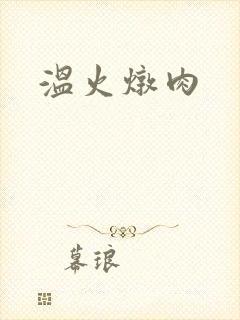温火炖肉