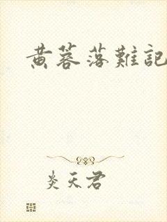 黄蓉落难记阅读封面