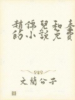 赵锦儿和秦慕修的小说免费阅读全文