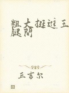 粗大挺进玉芬双腿间