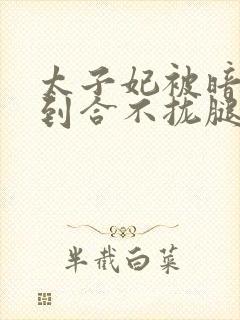 太子妃被暗卫C到合不拢腿