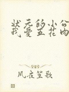 状元的小公主(我爱五花肉)封面