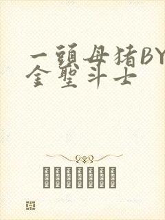 一头母猪BY黄金圣斗士