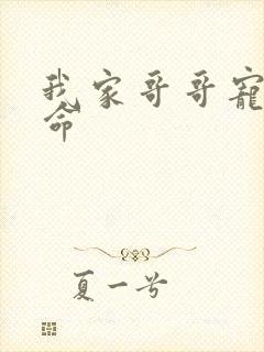 我家哥哥宠妹如命