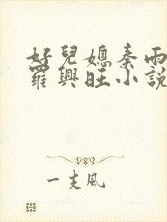 好儿媳秦雨罗明罗兴旺小说