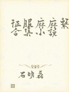 征服麻麻系列大合集小说