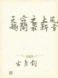 天命之上风月笔趣阁最新章节