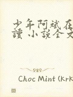 少年阿斌在线阅读 小说全文免费封面