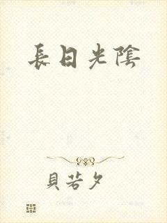 长日光阴封面