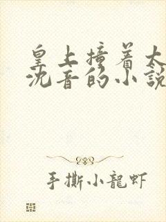 皇上撞着太子妃沈音的小说叫什么