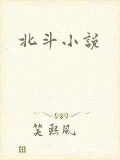 北斗小说