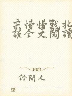 宋惜惜战北望小说全文阅读封面