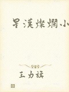 星汉灿烂小说