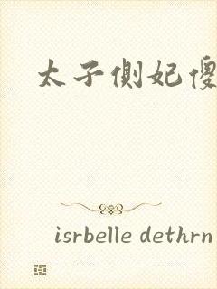 太子侧妃傻乎乎