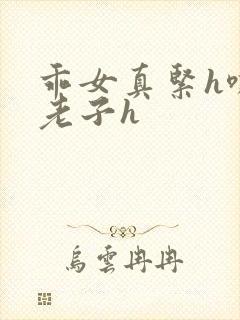 乖女真紧h嘶爽老子h封面