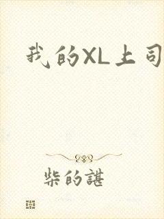 我的XL上司
