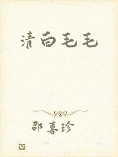 清白毛毛