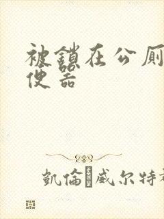 被锁在公厕当坐便器封面