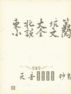 东北大坑第二部小说全文阅读